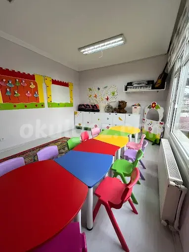 Özel Elif Çocuk Akademisi Anaokulu