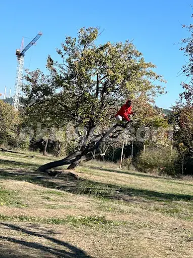 Özel Erenköşk Anaokulu