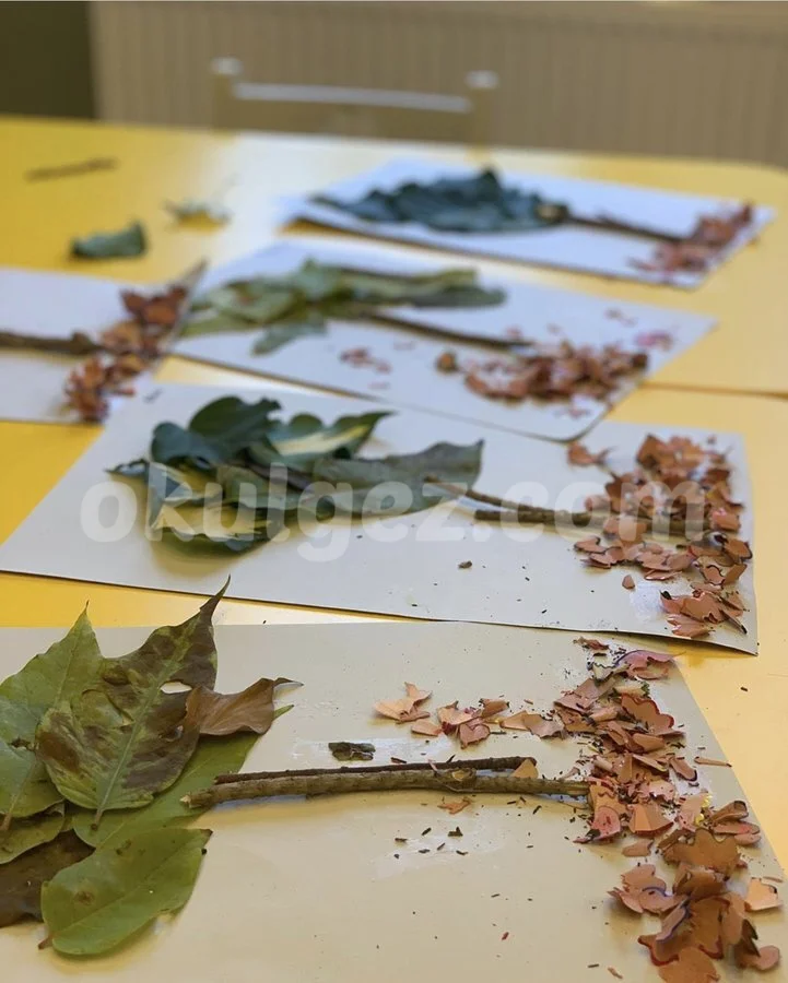 Özel Etiler Kids Academy Anaokulu