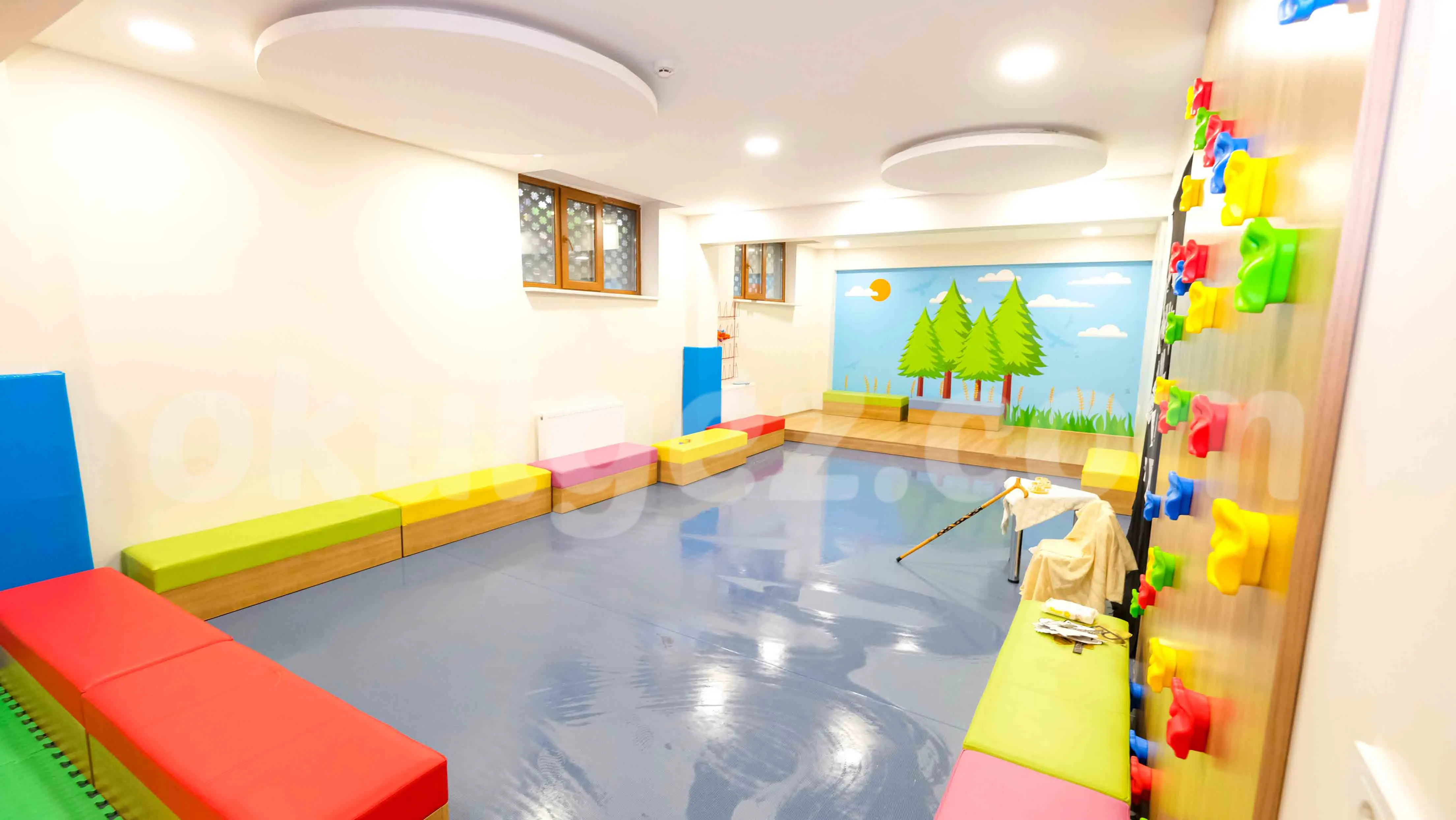 Özel Eyüpsultan Lider Sancak Koleji Proje Anaokulu