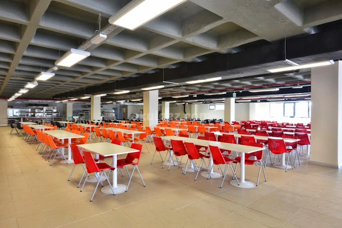 Özel FMV Işık Okulları Ispartakule Anaokulu