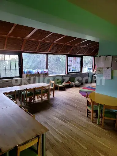 Özel Free Steps Anaokulu