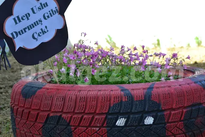 Özel Gaziosmanpaşa Ayışığım Anaokulu