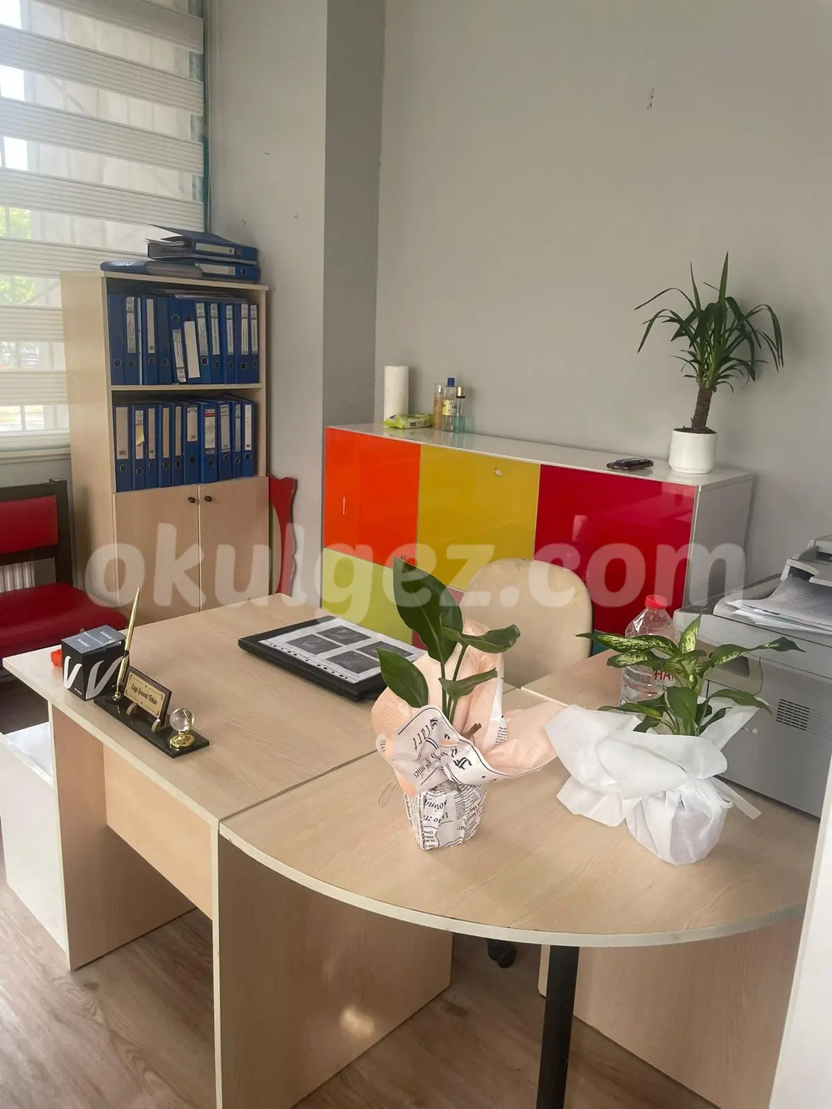 Özel Halkalı Parlak Yıldızlar Anaokulu