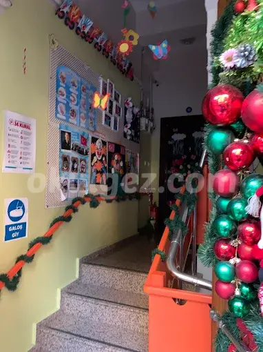 Özel Hayal Dünyası Anaokulu