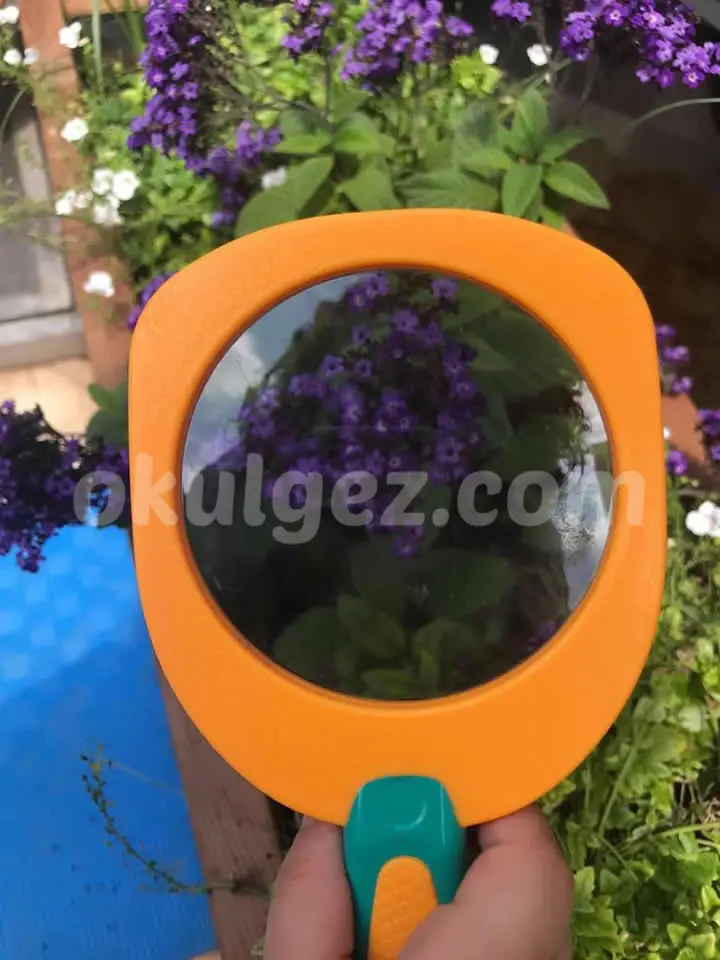 Özel Hey Kreş ve Gündüz Bakımevi