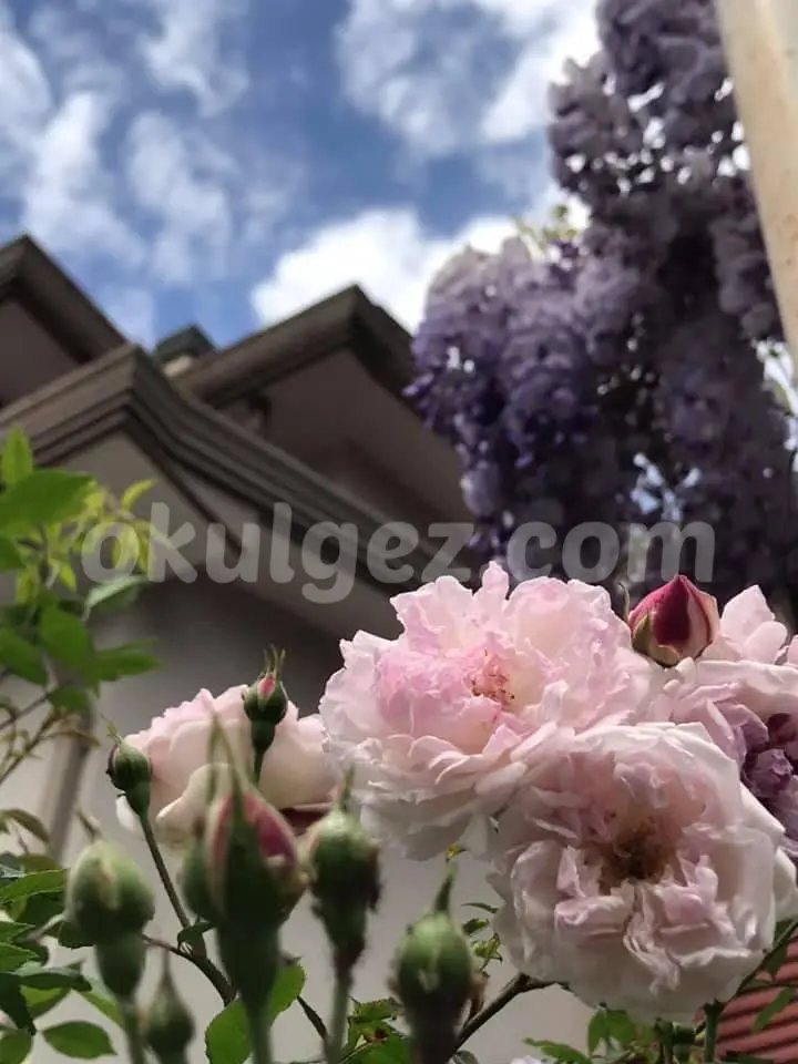 Özel Hey Kreş ve Gündüz Bakımevi