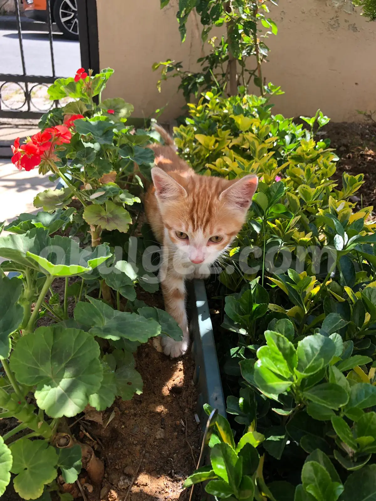 Özel Hey Kreş ve Gündüz Bakımevi