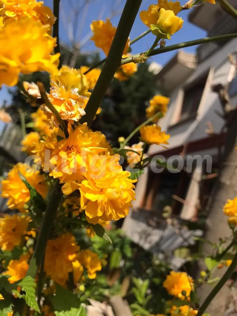 Özel Hey Kreş ve Gündüz Bakımevi