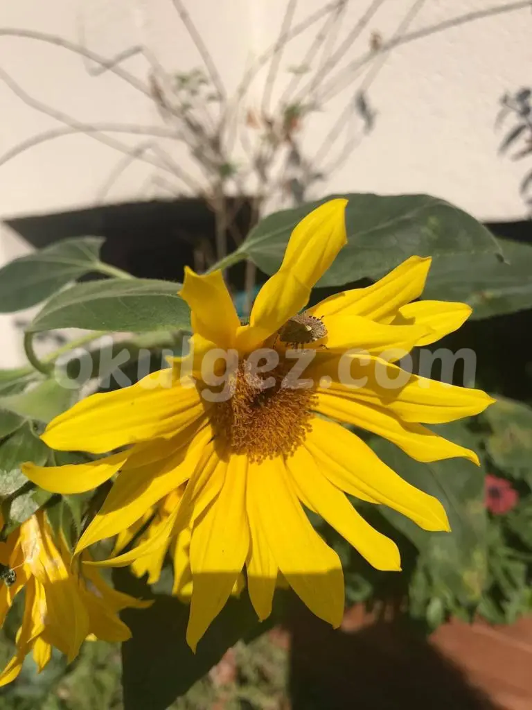 Özel Hey Kreş ve Gündüz Bakımevi