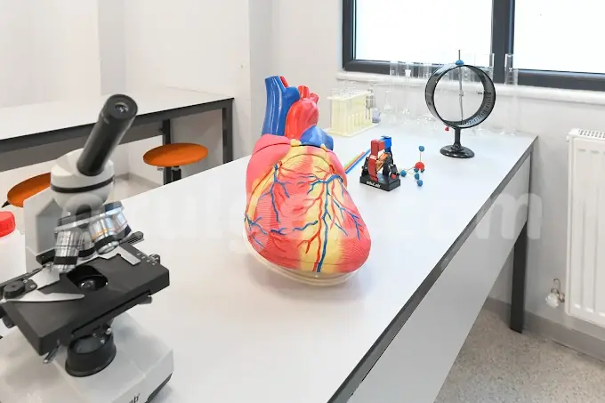 Özel İleri Nesil Okulları & The Barstow School Anaokulu