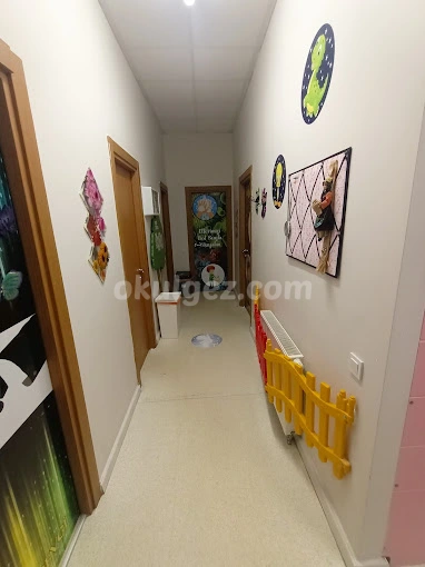 Özel Ispartakule Elvin Çocuk Akademisi Anaokulu