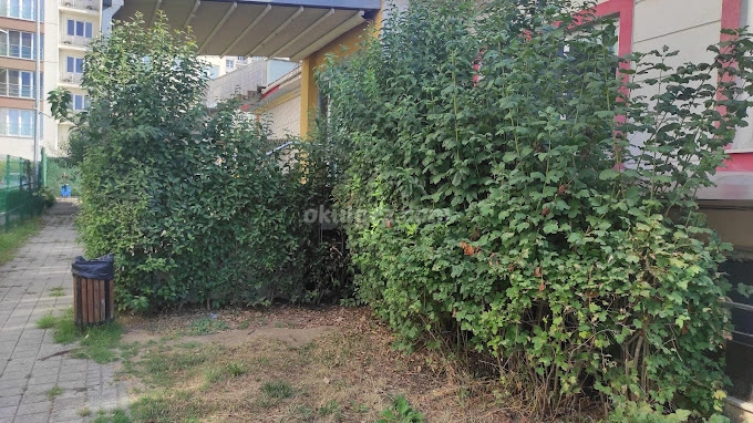 Özel Ispartakule Final Okulları Anaokulu