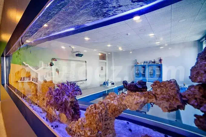 Özel İTA Okulları Anaokulu