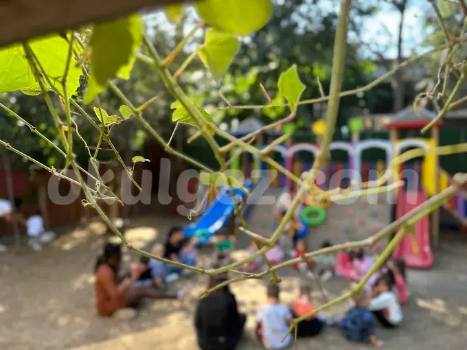 Özel Kachild Preschool