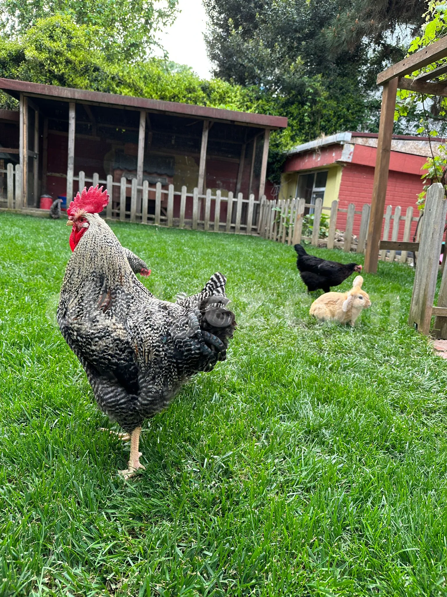 Özel Kachild Preschool