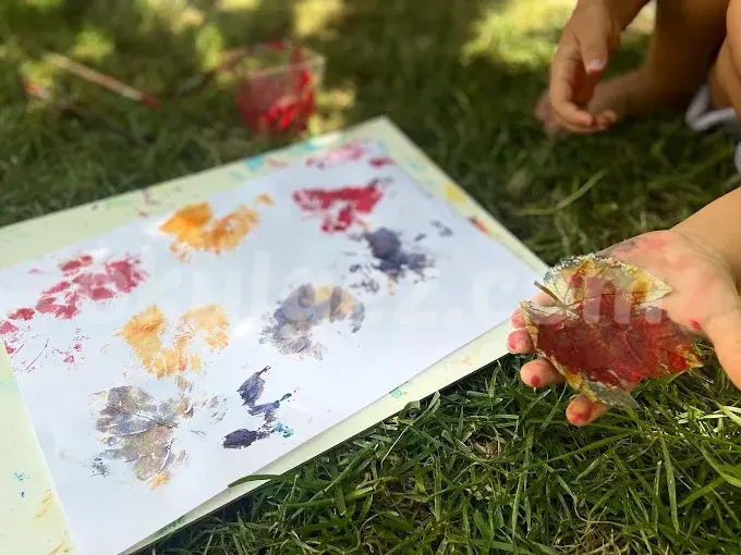 Özel Kachild Preschool