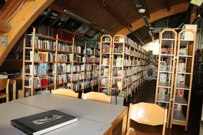 Özel Kadıköy Irmak Okulları Anaokulu