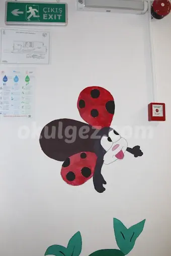 Özel Kartaltepe Anaokulu