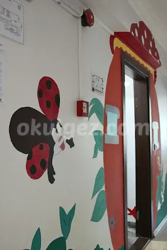 Özel Kartaltepe Anaokulu