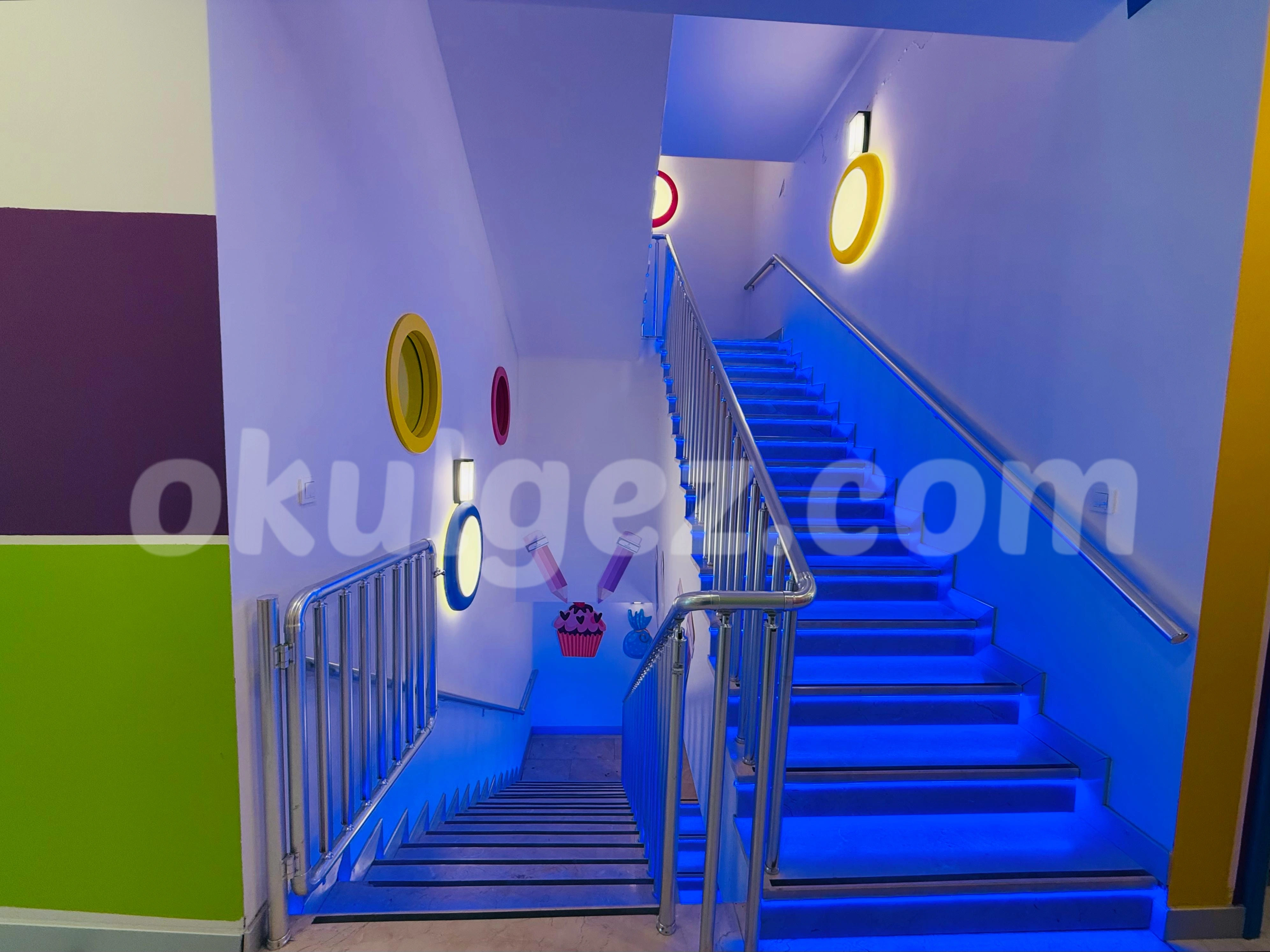 Özel Kayaşehir Harikalar Diyarı Çocuk Üniversitesi Anaokulu