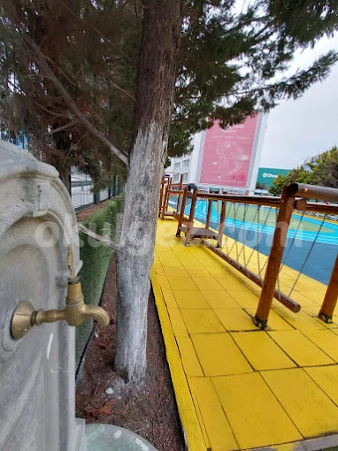 Özel Kent Eğitim Koleji Anaokulu