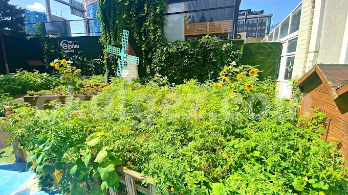 Özel Kent Eğitim Koleji Anaokulu