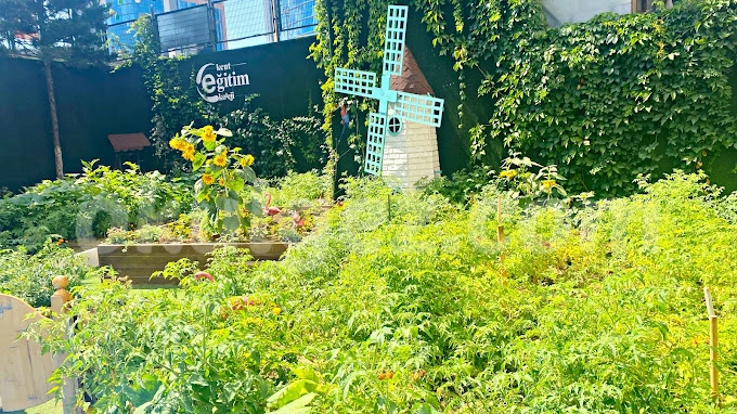 Özel Kent Eğitim Koleji Anaokulu