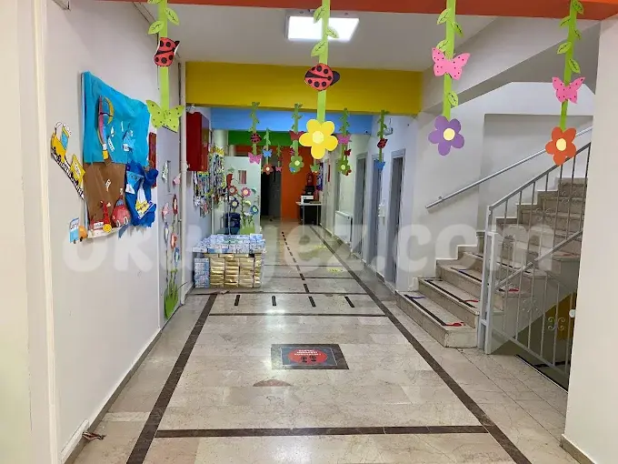Özel Kika Kardelenler International Kids Academy Anaokulu