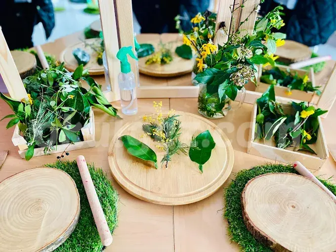 Özel  Maltepe Küçük Dahiler Anaokulu