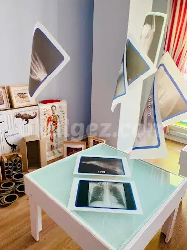 Özel  Maltepe Küçük Dahiler Anaokulu