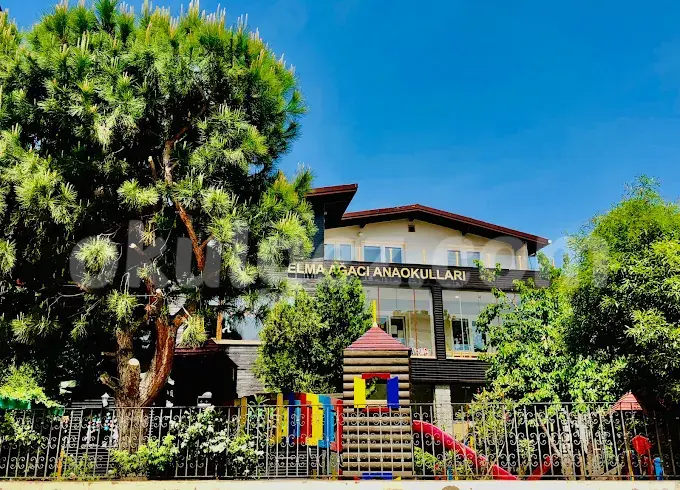 Özel Küçükyalı Elma Ağacı Anaokulu