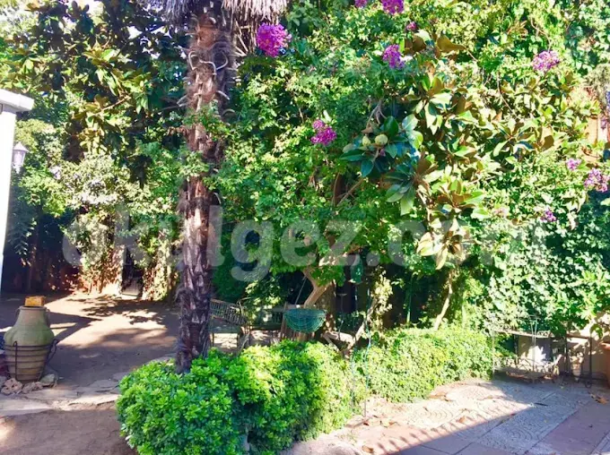 Özel Küçükyalı Elma Ağacı Anaokulu