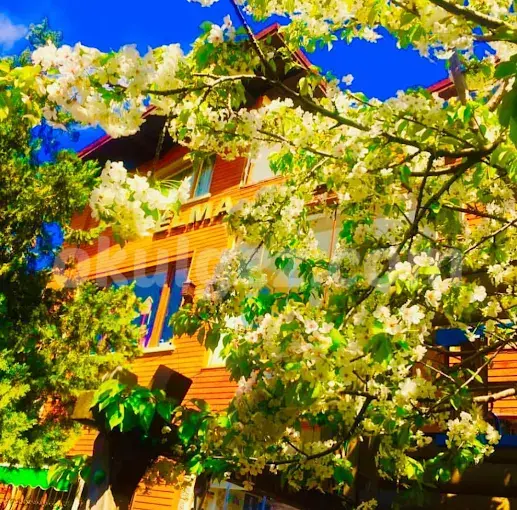 Özel Küçükyalı Elma Ağacı Anaokulu