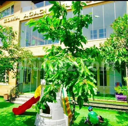 Özel Küçükyalı Elma Ağacı Anaokulu