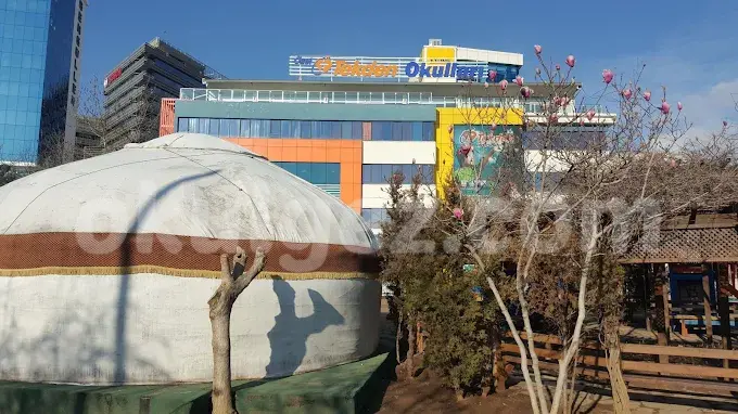 Özel Küçükyalı Tekden Koleji Anaokulu