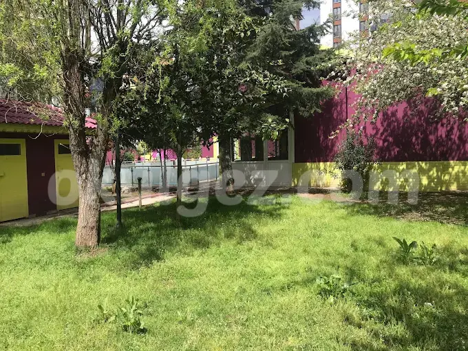 Özel Lider Çocuk Anaokulu