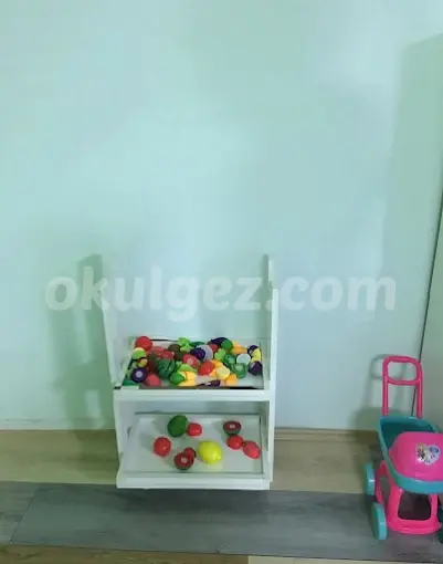 Özel Limon Ağacı Çocuk Akademi Anaokulu