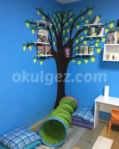 Özel Limon Ağacı Çocuk Akademi Anaokulu