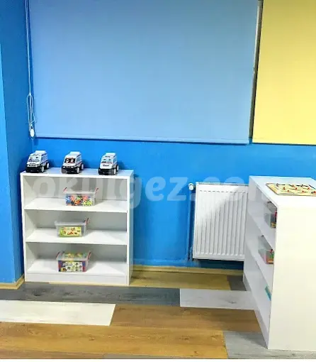 Özel Limon Ağacı Çocuk Akademi Anaokulu