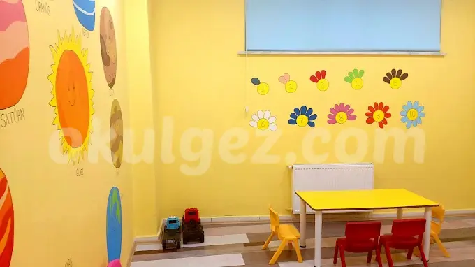 Özel Limon Ağacı Çocuk Akademi Anaokulu