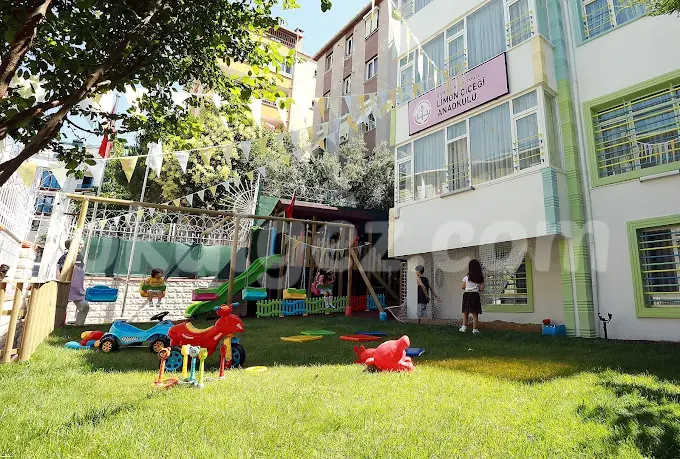 Özel Limon Çiçeği Anaokulu