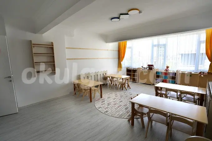 Özel Limon Çiçeği Anaokulu