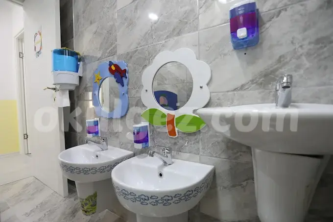 Özel Limon Çiçeği Anaokulu