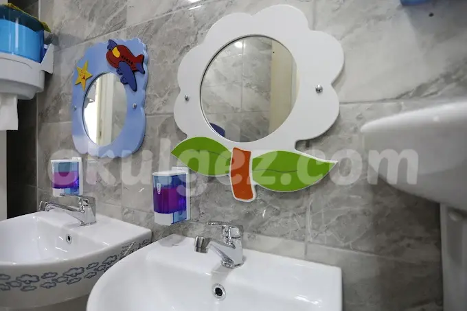 Özel Limon Çiçeği Anaokulu