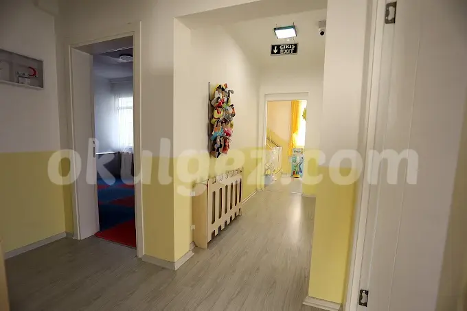 Özel Limon Çiçeği Anaokulu