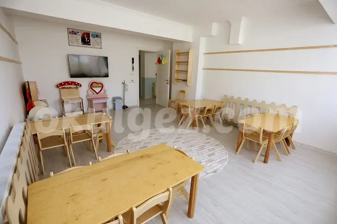 Özel Limon Çiçeği Anaokulu