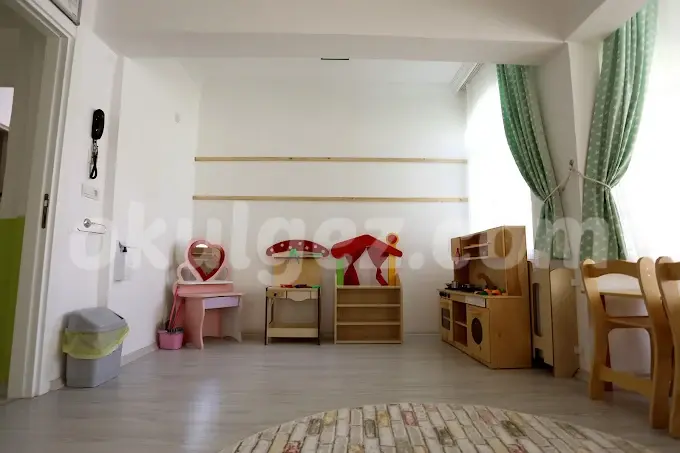 Özel Limon Çiçeği Anaokulu