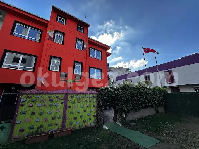 Özel Madenler Anka Anaokulu