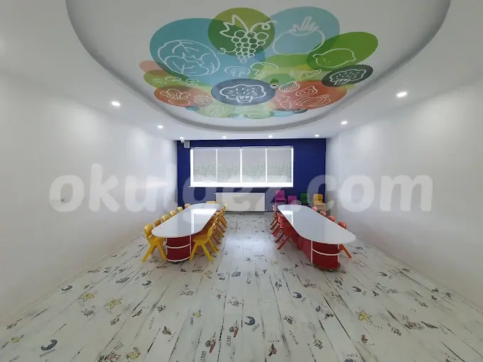 Özel Madenler Erse Anaokulu